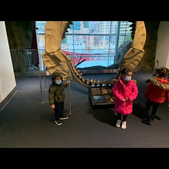 Meet your Posher, Zineb - Picture 1 of 1